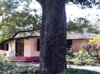 Residential House Villa for Sale in Alleppey, Mavelikara, Chettikulangara
