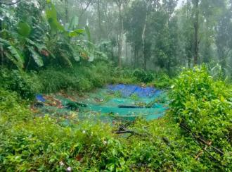 Residential Land for Sale in Idukki, Kumily, Amaravathi