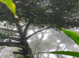 Residential Land for Sale in Idukki, Kumily, Amaravathi