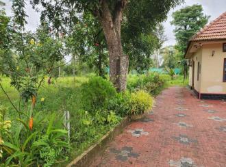 Residential Land for SaleAlleppey, Mavelikara, Cherukole