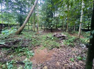 Residential Land for Sale in Ernakulam, Angamaly, Mookkannoor