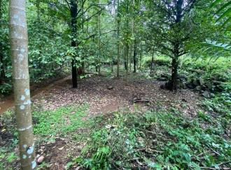 Residential Land for Sale in Ernakulam, Angamaly, Mookkannoor