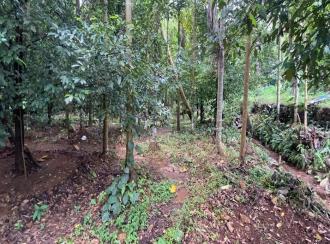 Residential Land for Sale in Ernakulam, Angamaly, Mookkannoor