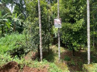 Residential Land for Sale in Ernakulam, Angamaly, Mookkannoor