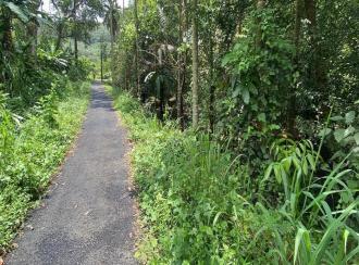 Residential Land for Sale in Ernakulam, Angamaly, Mookkannoor