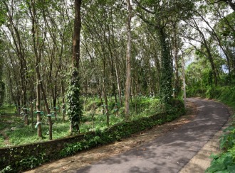 Residential Land for Sale in Kottayam, Pala, Mutholi