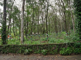 Residential Land for Sale in Kottayam, Pala, Mutholi