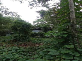 Residential Land for Sale in Alleppey, Mavelikara, Chennithala