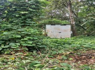 Residential Land for Sale in Alleppey, Mavelikara, Chennithala