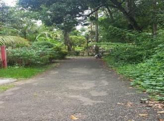 Residential Land for Sale in Alleppey, Mavelikara, Chennithala