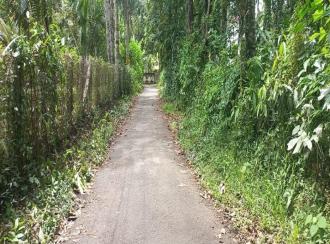 Residential Land for Sale in Alleppey, Mavelikara, Chennithala
