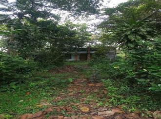 Residential Land for Sale in Alleppey, Mavelikara, Chennithala
