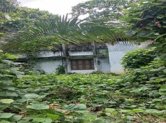 Residential Land for Sale in Alleppey, Mavelikara, Chennithala