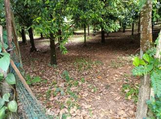 Residential Land for Sale in Thrissur, Koratty, Thirumudikunnu