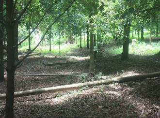 Residential Land for Sale in Thrissur, Koratty, Thirumudikunnu