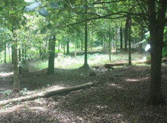 Residential Land for Sale in Thrissur, Koratty, Thirumudikunnu