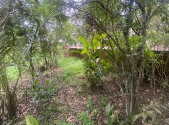 Residential Land for Sale in Ernakulam, Paravur, North Paravur 