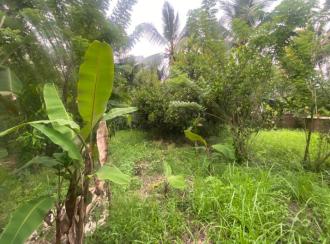 Residential Land for Sale in Ernakulam, Paravur, North Paravur 