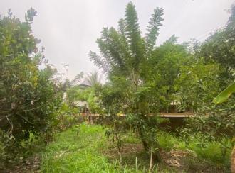 Residential Land for Sale in Ernakulam, Paravur, North Paravur 