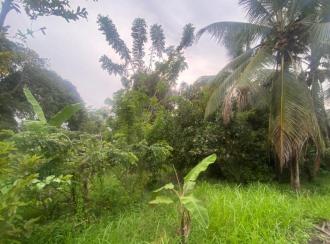 Residential Land for Sale in Ernakulam, Paravur, North Paravur 