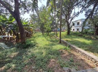 Residential Land, Palakkad