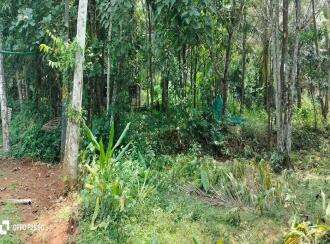 Residential Land for Sale in Malappuram, Ponnani, Vattamkulam