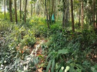 Residential Land for Sale in Malappuram, Ponnani, Vattamkulam