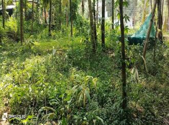 Residential Land for Sale in Malappuram, Ponnani, Vattamkulam