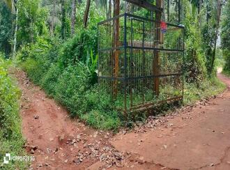 Residential Land, Malappuram