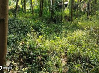 Residential Land for Sale in Malappuram, Ponnani, Vattamkulam