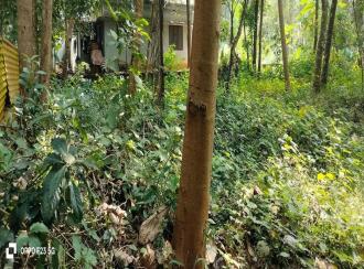 Residential Land for Sale in Malappuram, Ponnani, Vattamkulam
