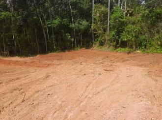 Residential Land for Sale in Kanyakumari, Parassala, Cheruvarakonam