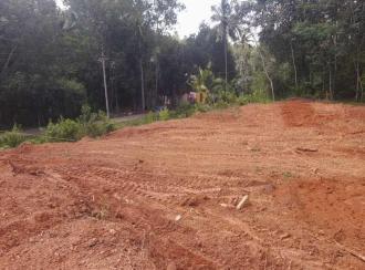 Residential Land for Sale in Kanyakumari, Parassala, Cheruvarakonam