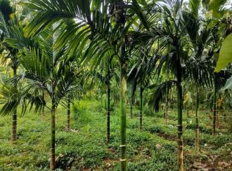 Residential House Villa for Sale in Thrissur, Chelakara, Elanad, Elanad Pazhayannur