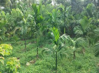 Residential House Villa for Sale in Thrissur, Chelakara, Elanad, Elanad Pazhayannur