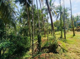 Residential House Villa for Sale in Kannur, Kannur, Chembilode