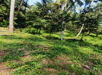 Residential House Villa for Sale in Kannur, Kannur, Chembilode