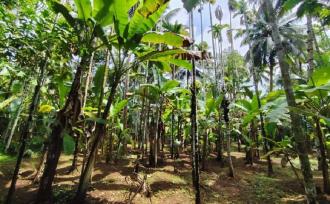 Residential Land for SaleThrissur, Thrissur town, Thrissur