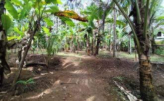 Residential Land for Sale in Thrissur, Thrissur town, Thrissur