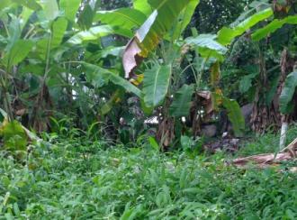 Commercial Office for Rent in Trivandrum, Thiruvananthapuram, Kumarapuram