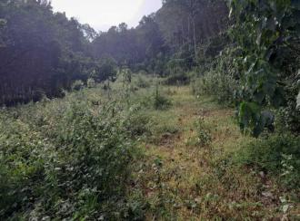 Agricultural Land for Sale in Kollam, Pathanapuram, Maloor