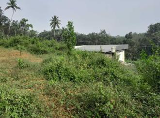 Agricultural Land for Sale in Kollam, Pathanapuram, Maloor