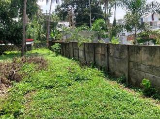 Residential Land for Sale in Palakkad, Ottappalam, Akaloor