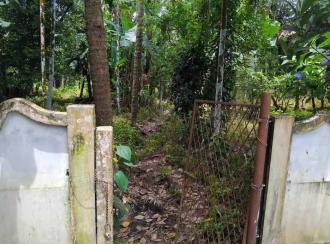 Residential Land for SaleThrissur, Kanjany, Kanjany