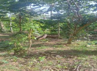 Residential Land for SaleKottayam, Karukachal, Karukachal