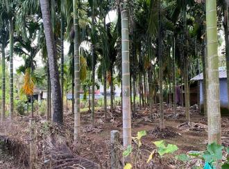 Commercial Land for Sale in Palakkad, Vadakkencherry, Vadakkencherry