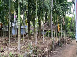 Commercial Land for Sale in Palakkad, Vadakkencherry, Vadakkencherry