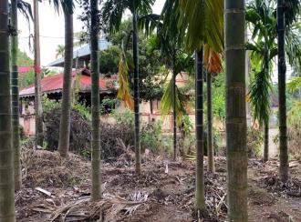 Commercial Land for Sale in Palakkad, Vadakkencherry, Vadakkencherry