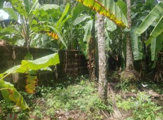 Residential Land for Sale in Kozhikode, Ramanattukara, Ramanattukara