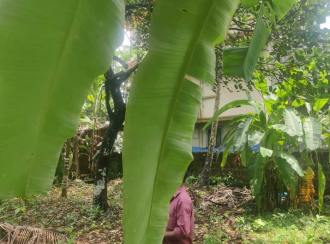 Residential Land for Sale in Kozhikode, Ramanattukara, Ramanattukara